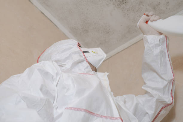 Certified Mold Removal in Moorpark, CA